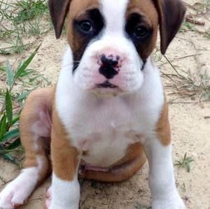 Meet your Posher, Sherry